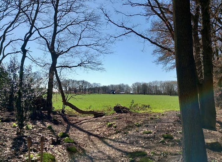 Gemuetliche Sitzecke im Ferienhaus in Drijber, Zentral-Drenthe, mit Blick auf den Wald fuer einen entspannten Aufenthalt.