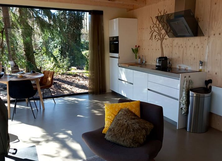 Gemuetliche Sitzecke im Ferienhaus in Drijber, Zentral-Drenthe, mit Blick auf den Wald fuer einen entspannten Aufenthalt.