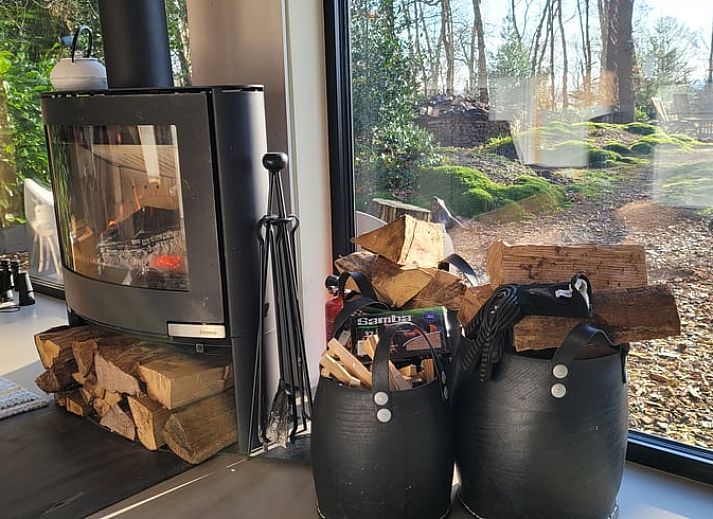 Blick vom Ferienhaus in Drijber auf die gruene Natur von Mittel-Drenthe, ideal fuer Naturliebhaber.