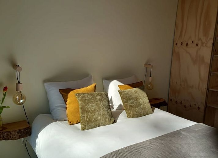 Blick vom Ferienhaus in Drijber auf die gruene Natur von Mittel-Drenthe, ideal fuer Naturliebhaber.