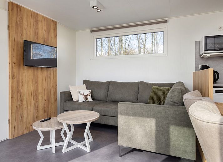 Komfort 6 Chalet mit Terrasse in der natuerlichen Umgebung von Gasselternijveen, Zentral-Drenthe, ideal fuer einen entspannten Urlaub.