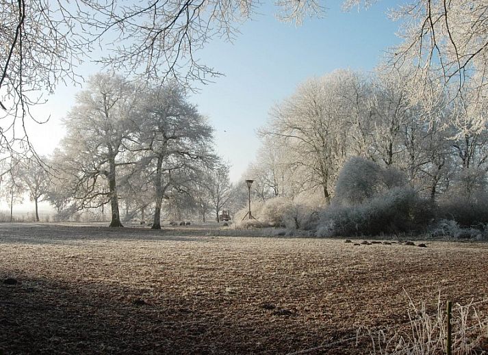 Unterkunft 171102 - Ferienhaus Midden Drenthe - de Veenhof