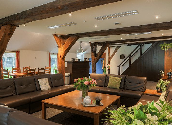 Cozy terrace at vacation home in Orvelte, Central Drenthe, surrounded by nature.