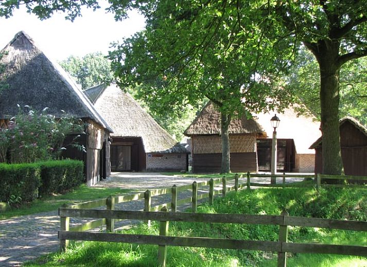 Cozy terrace at vacation home in Orvelte, Central Drenthe, surrounded by nature.
