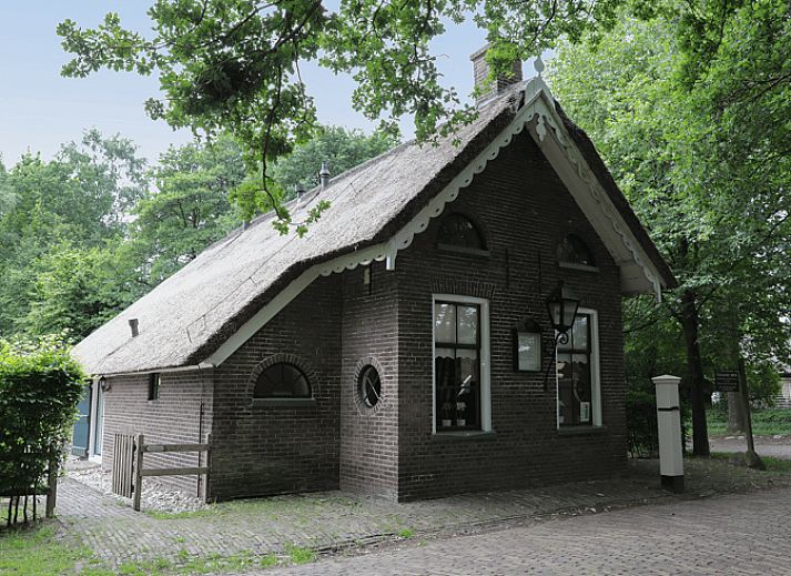 Charming vacation home in Orvelte, Central Drenthe, with thatched roof and green surroundings.