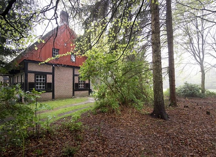 Charmant vakantiehuis Huisje in Rolde met rieten dak in de groene natuur van Midden Drenthe, Drenthe.