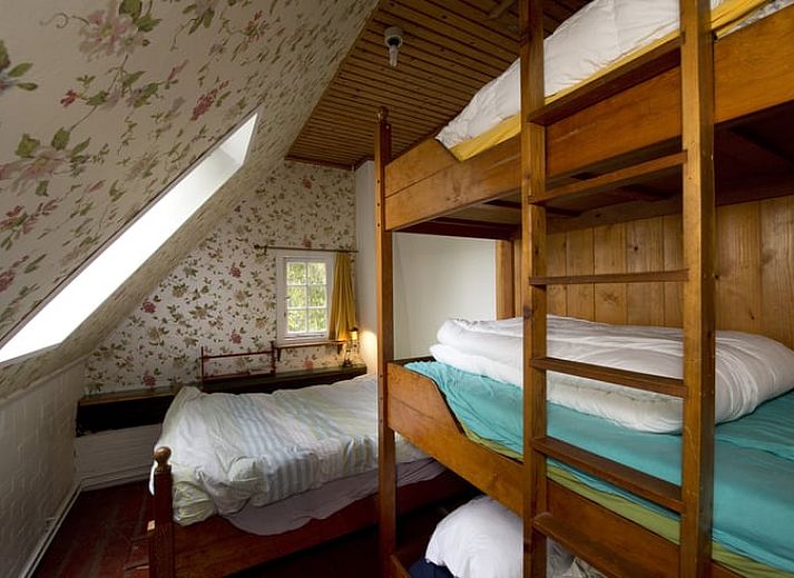 Huisje in Rolde, idyllisch vakantiehuis omringd door weelderige bossen in Midden Drenthe, Drenthe.