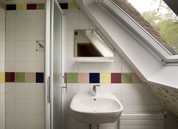 Huisje in Rolde, idyllisch vakantiehuis omringd door weelderige bossen in Midden Drenthe, Drenthe.