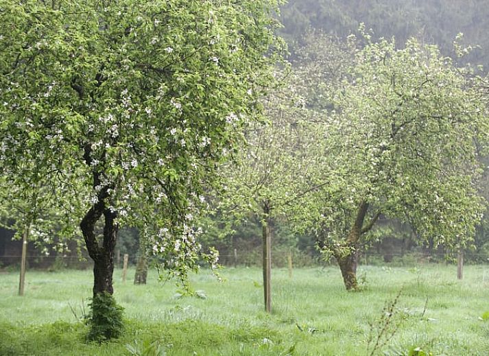 Gezellige eetruimte in Huisje in Rolde met uitzicht op de tuin, gelegen in Midden Drenthe, Drenthe.