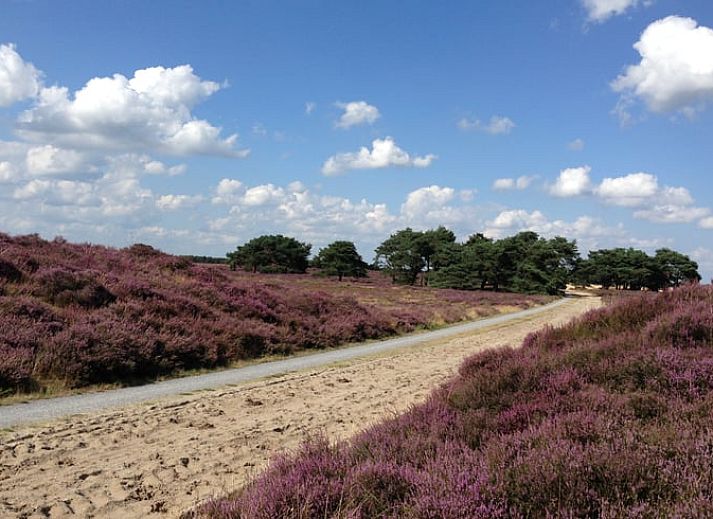 Gezellige eetruimte in Huisje in Rolde met uitzicht op de tuin, gelegen in Midden Drenthe, Drenthe.