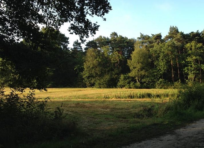 Gezellige eetruimte in Huisje in Rolde met uitzicht op de tuin, gelegen in Midden Drenthe, Drenthe.