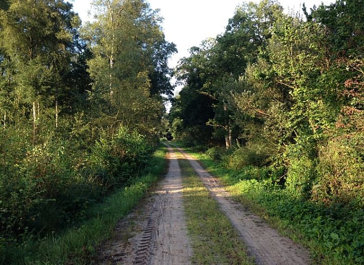 Rustieke woonkamer van Huisje in Rolde met houtkachel, perfect voor een verblijf in Midden Drenthe, Drenthe.