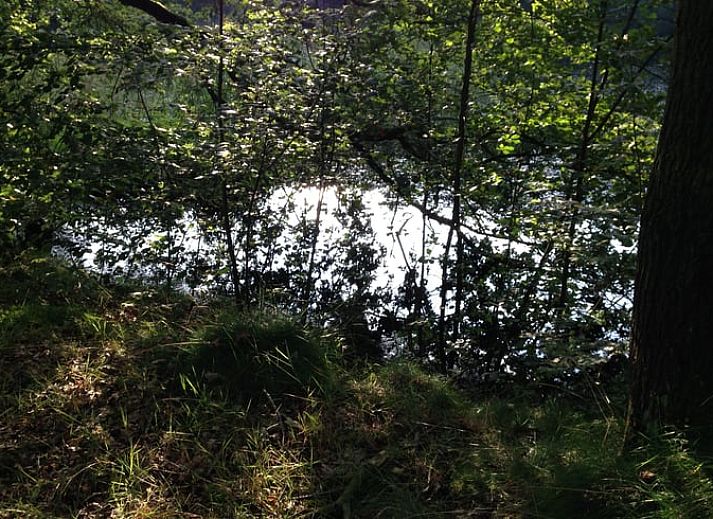 Rustieke woonkamer van Huisje in Rolde met houtkachel, perfect voor een verblijf in Midden Drenthe, Drenthe.