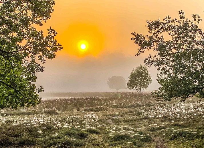 Verblijf 171803 - Vakantiewoning Midden Drenthe - DG1535