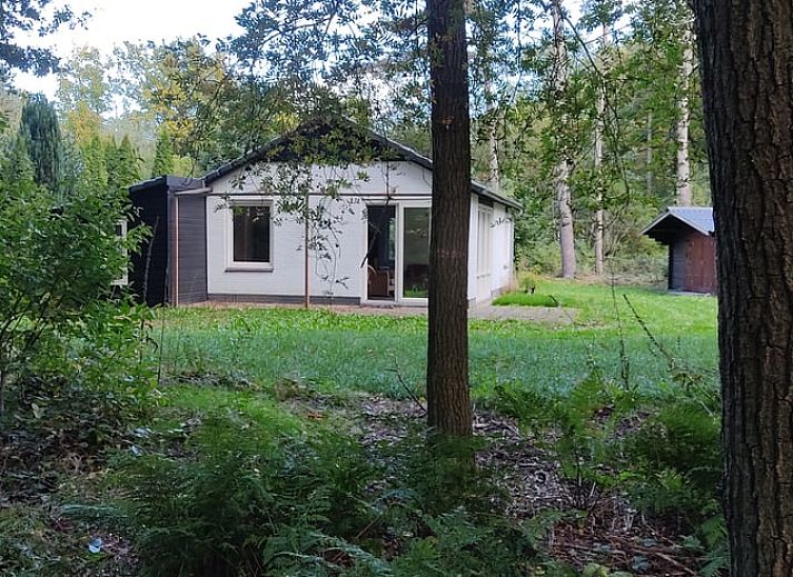 Unterkunft 171903 • Ferienhaus Midden Drenthe • Huisje in Gasselte 