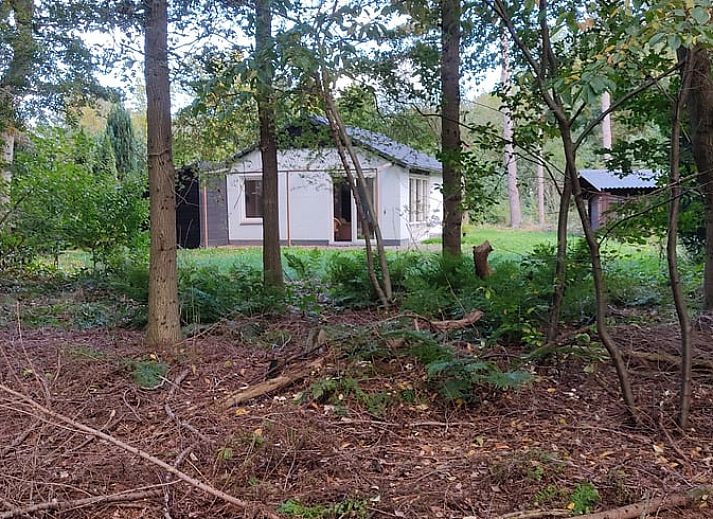 Unterkunft 171903 - Ferienhaus Midden Drenthe - Huisje in Gasselte