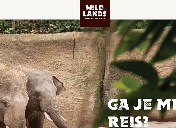 Modernes Badezimmer in Cottage in Gasselte, Ferienhaus im Herzen von Drenthe.