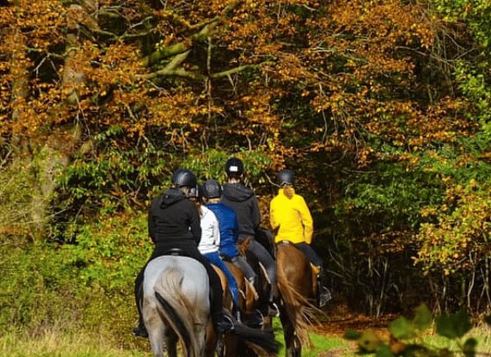 Modernes Badezimmer in Cottage in Gasselte, Ferienhaus im Herzen von Drenthe.