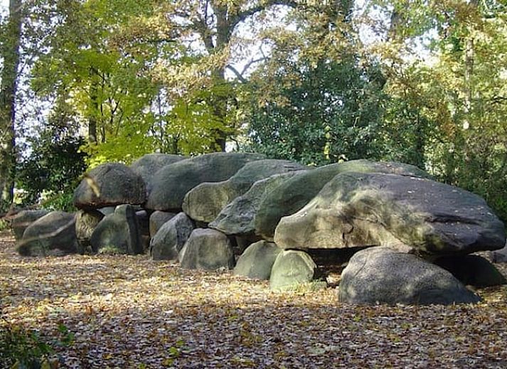 Geniet van de groene tuin en comfortabele ligstoelen bij Vakantiehuis in Gasselte, een serene vakantiewoning in Midden Drenthe, Drenthe.