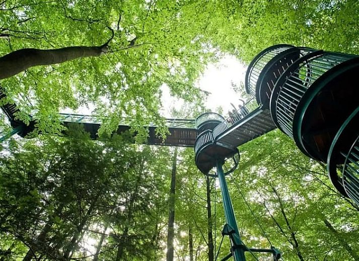 Geniet van de groene tuin en comfortabele ligstoelen bij Vakantiehuis in Gasselte, een serene vakantiewoning in Midden Drenthe, Drenthe.