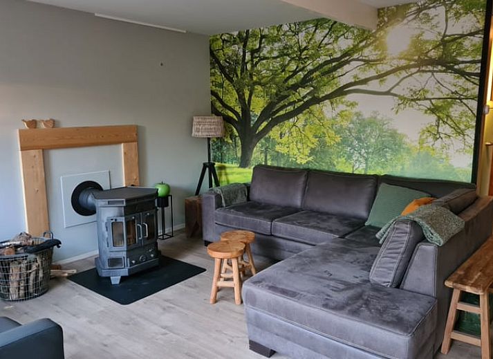 Rustic exterior of Cottage in Gasselte, Drenthe, surrounded by trees and a charming wooden fence.