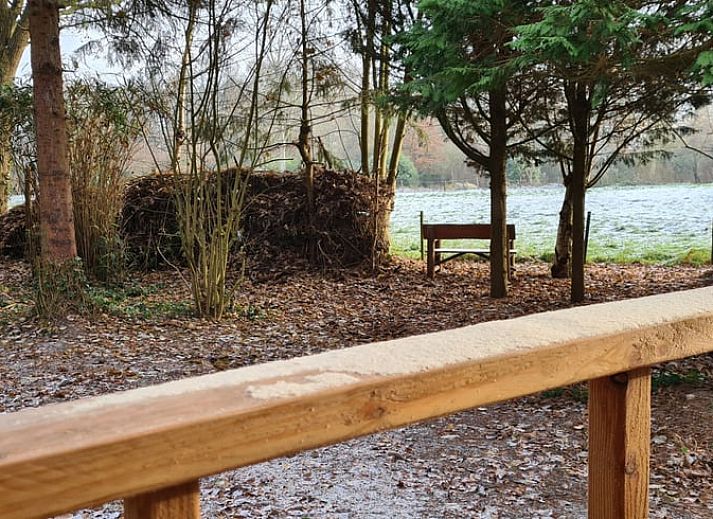 Entrance to Holiday cottage in Gasselte, Central Drenthe, with natural surroundings and spacious outdoor space.