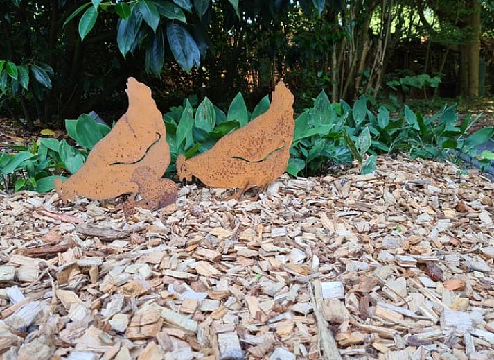 Entrance to Holiday cottage in Gasselte, Central Drenthe, with natural surroundings and spacious outdoor space.