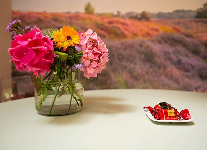 Side view of cottage in Gasselte, nestled in the nature of Middle Drenthe.