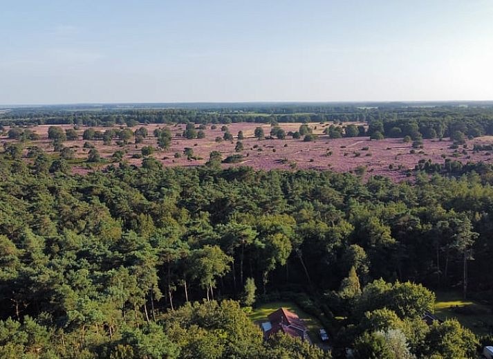 Guest house 171915 - Holiday property Midden Drenthe - Vakantiehuisje in Gasselte