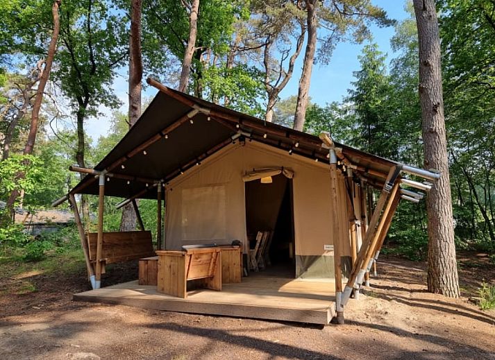 Unterkunft 171921 • Zelthaus Midden Drenthe • Safaritent