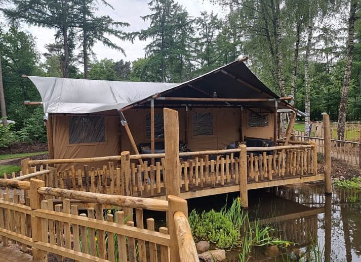 Guest house 171925 • Tent house Midden Drenthe • Luxe Safaritent + sanitair - Karper