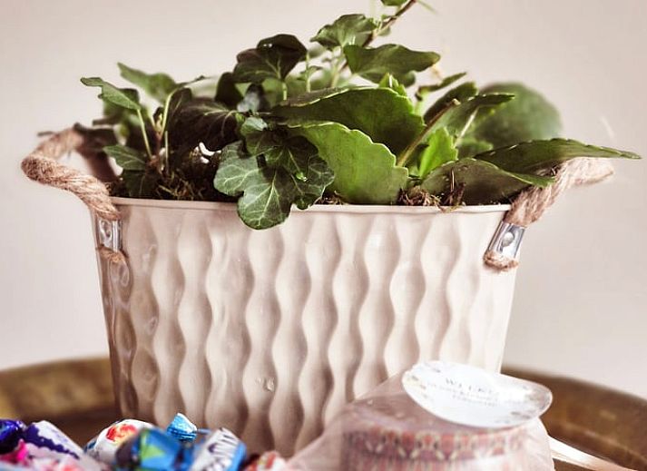 Bedroom in Holiday Home in Gasselte with beautiful nature theme on the wall.