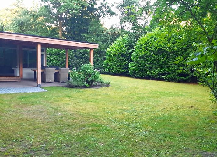 Gezellige veranda van Huisje in Gasselte, vakantiehuis in Midden Drenthe, met comfortabele zithoek en uitzicht op kleurrijke hortensia's.