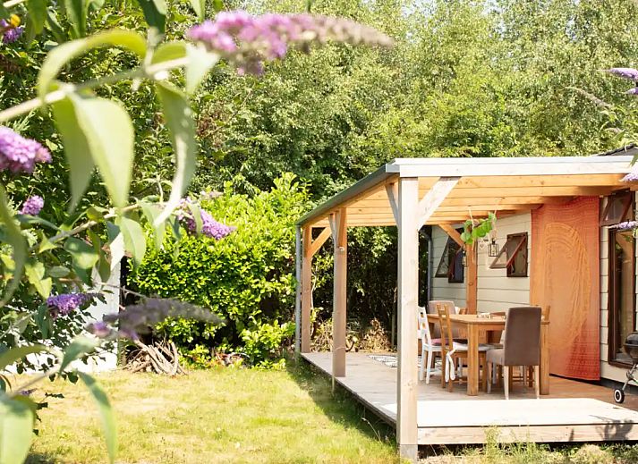 Guest house 171949 - Holiday property Midden Drenthe - De Kiekendief