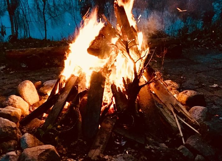 Cottage in Papenvoort, a charming cottage in the nature of Middle Drenthe, offers a rustic experience with campfire pit and wooded area.