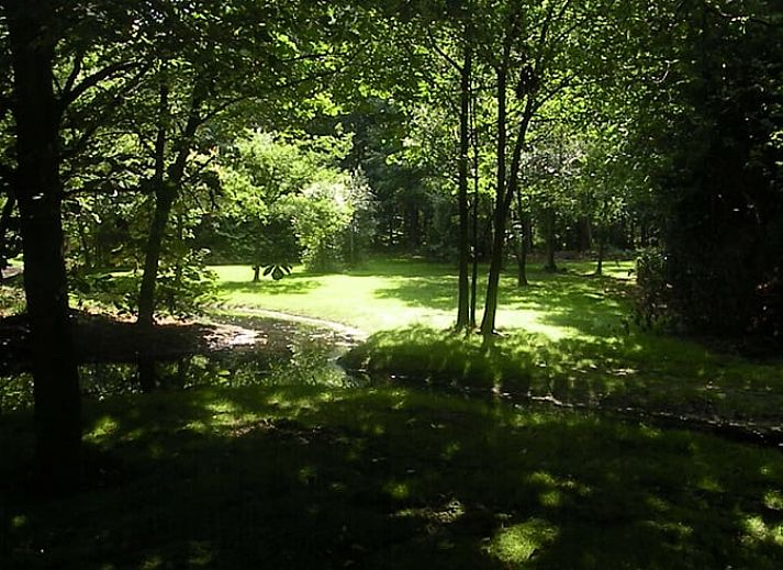 Cottage in Papenvoort, a charming cottage in the nature of Middle Drenthe, offers a rustic experience with campfire pit and wooded area.