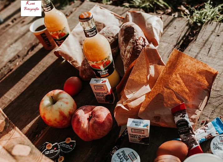 Cottage in Papenvoort, a charming cottage in the nature of Middle Drenthe, offers a rustic experience with campfire pit and wooded area.