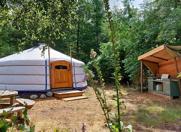 Verblijf 172009 • Vakantiewoning Midden Drenthe • Huisje in Papenvoort 
