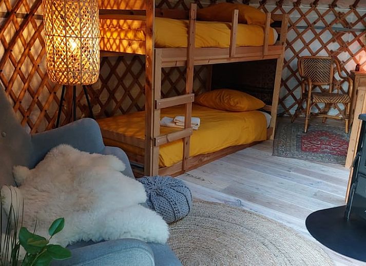 Cottage in Papenvoort, cottage in Drenthe with wooden porch and outdoor kitchen surrounded by nature.