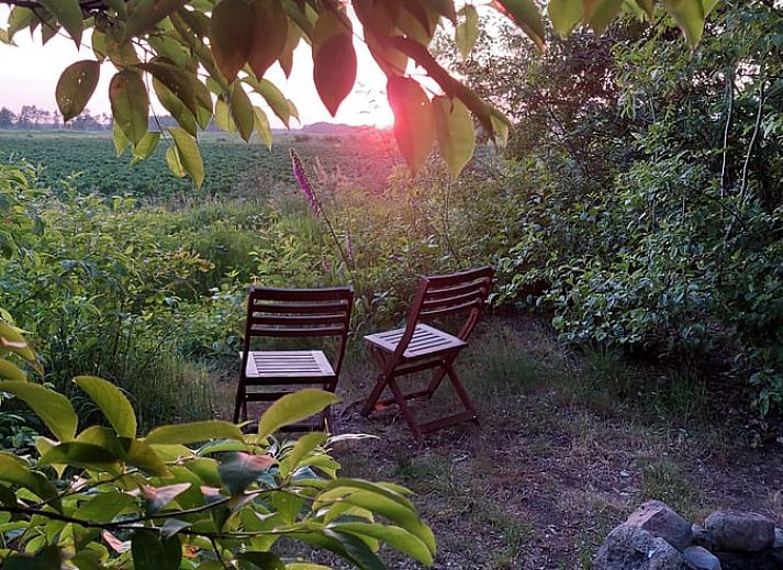 Cozy interior of Cottage in Papenvoort, Middle Drenthe with comfortable sofa and cozy furnishings.