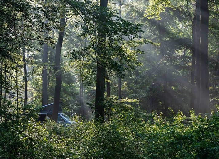 Ontspan bij het Vakantiehuisje in Papenvoort, Midden Drenthe, met een rustiek terras en uitzicht op de omliggende natuur.