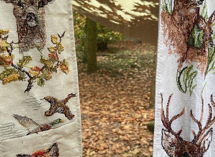 Cottage in Papenvoort, a charming cottage in Central Drenthe, surrounded by wooded nature and peaceful surroundings.