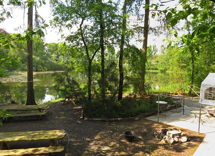 Cottage in Papenvoort, a charming cottage in Central Drenthe, surrounded by wooded nature and peaceful surroundings.