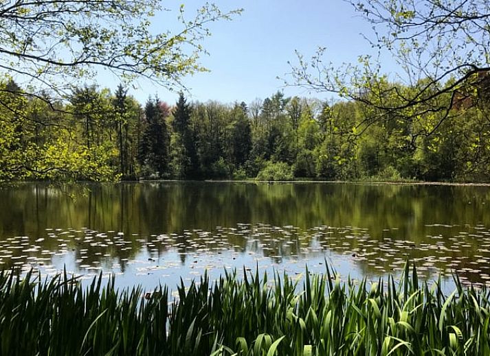 Cozy indoor area of Huisje in Papenvoort, a vacation home in Central Drenthe, with cozy dining area and views of nature.