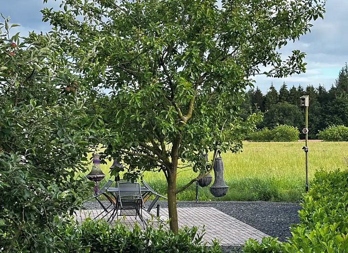 Guest house 172018 - Chalet Midden Drenthe - Chalet Drenthe, uniek vrij uitzicht