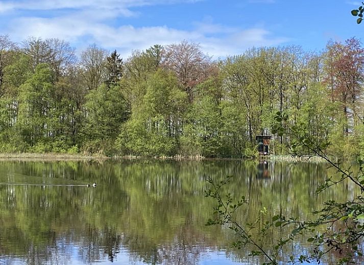 Unterkunft 172030 - Ferienhaus Midden Drenthe - Vakantiehuisje in Papenvoort