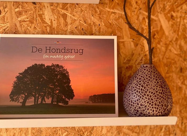 Unterkunft 172030 - Ferienhaus Midden Drenthe - Vakantiehuisje in Papenvoort