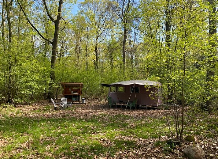 Verblijf 172040 • Vakantiewoning Midden Drenthe • Vakantiehuisje in Papenvoort 