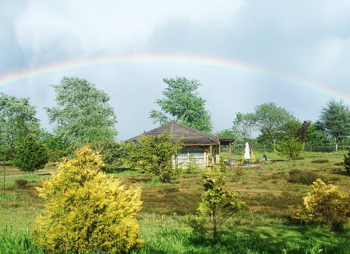 Unterkunft 172202 - Ferienhaus Midden Drenthe - Heide Huisje