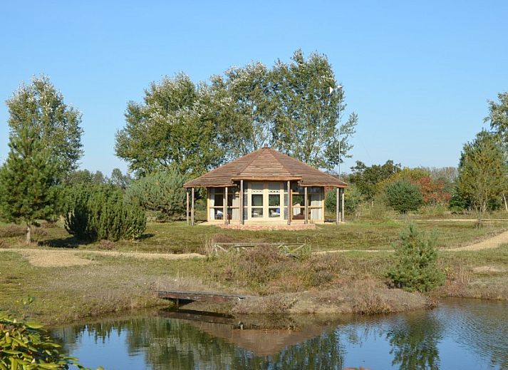 Unterkunft 172202 - Ferienhaus Midden Drenthe - Heide Huisje